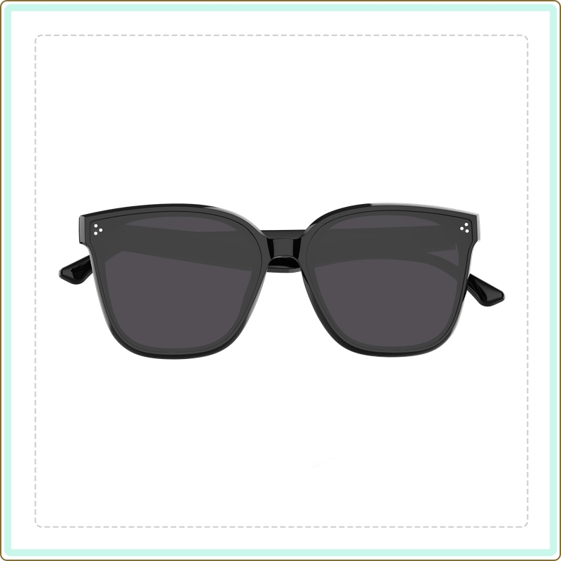 Smart Sunglasses SG1