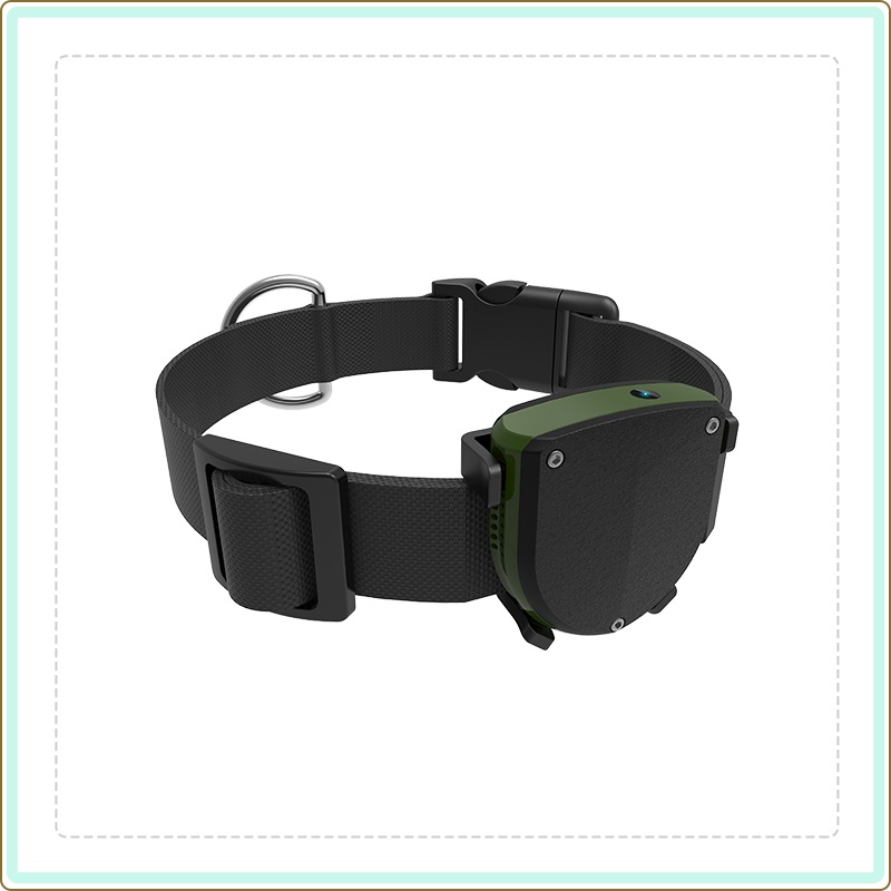 Pet GPS Tracker TD-05D