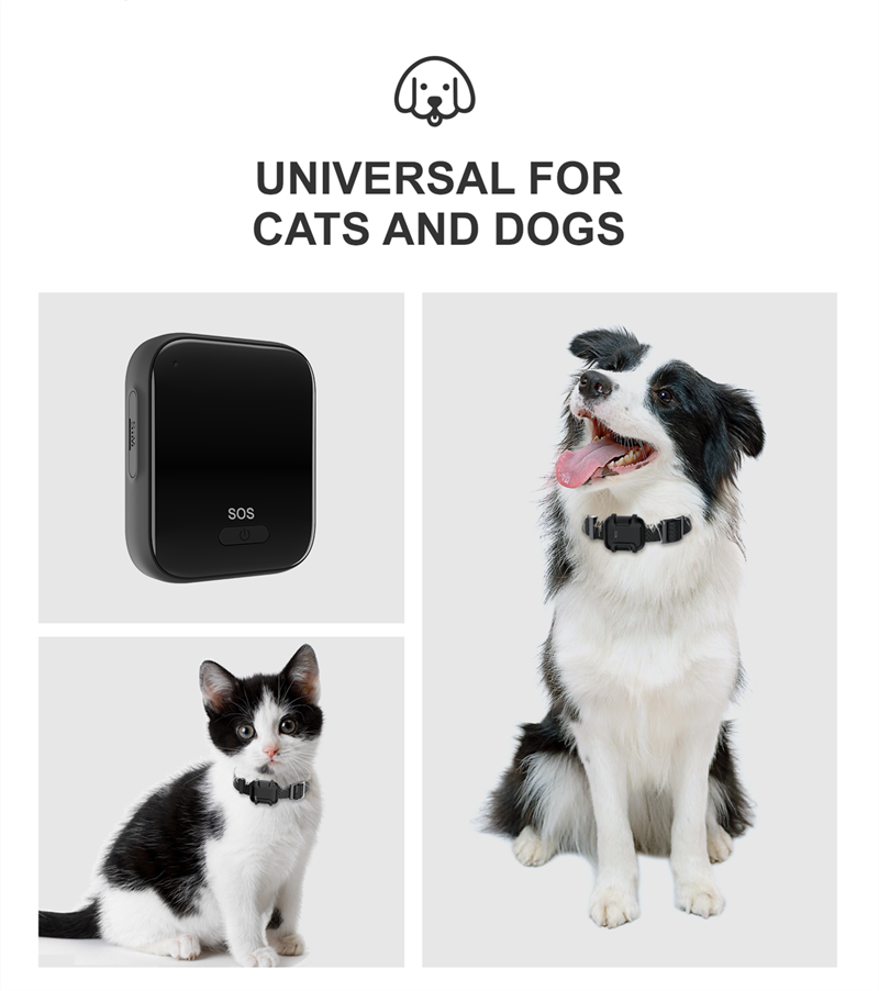 Pet GPS Tracker LT100