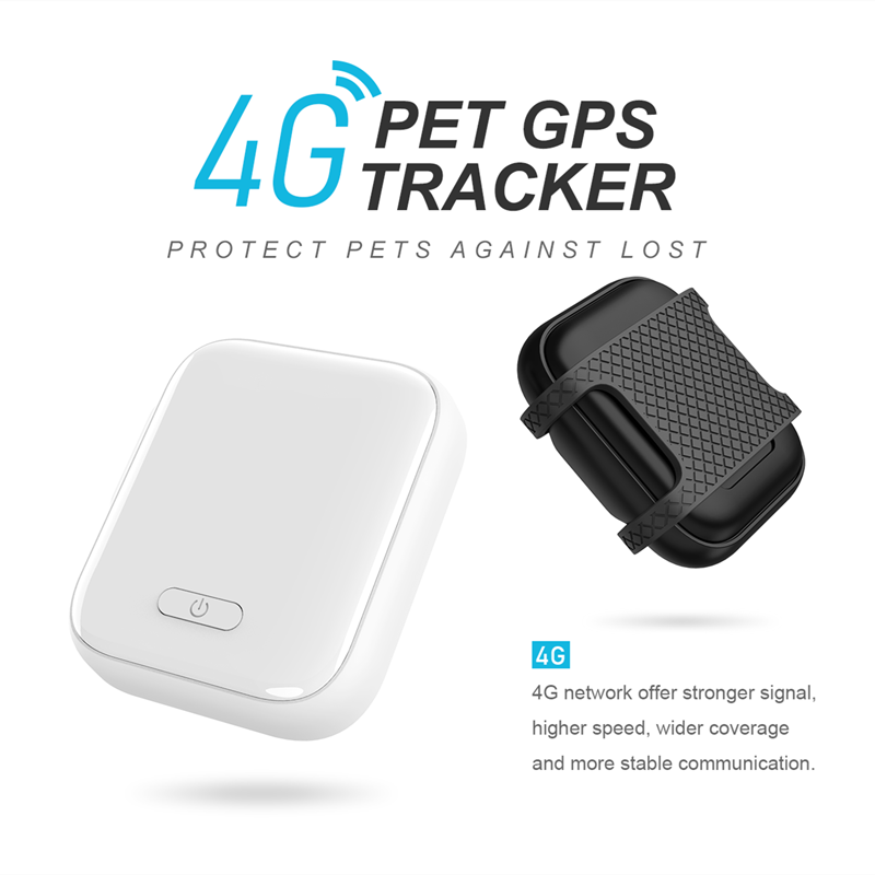 4G Pet Trackers LT100: Wearables To Keep Your Animals Safe