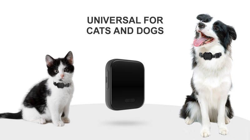 4G Pet Tracker SS2