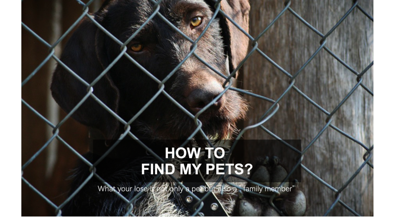 4G Pet Tracker SS2