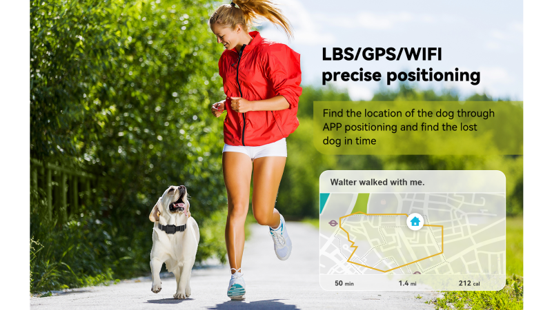 4G Pet Tracker SS2