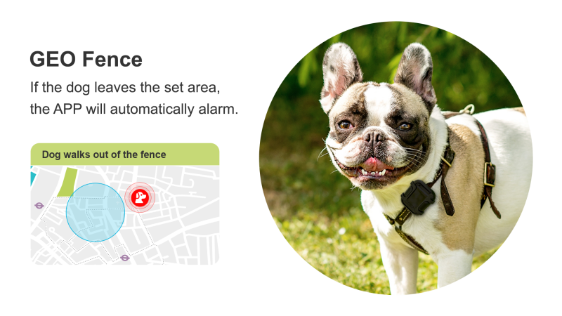 4G Pet Tracker SS2