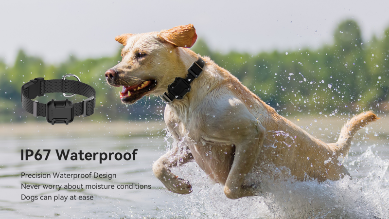 4G Pet Tracker SS2