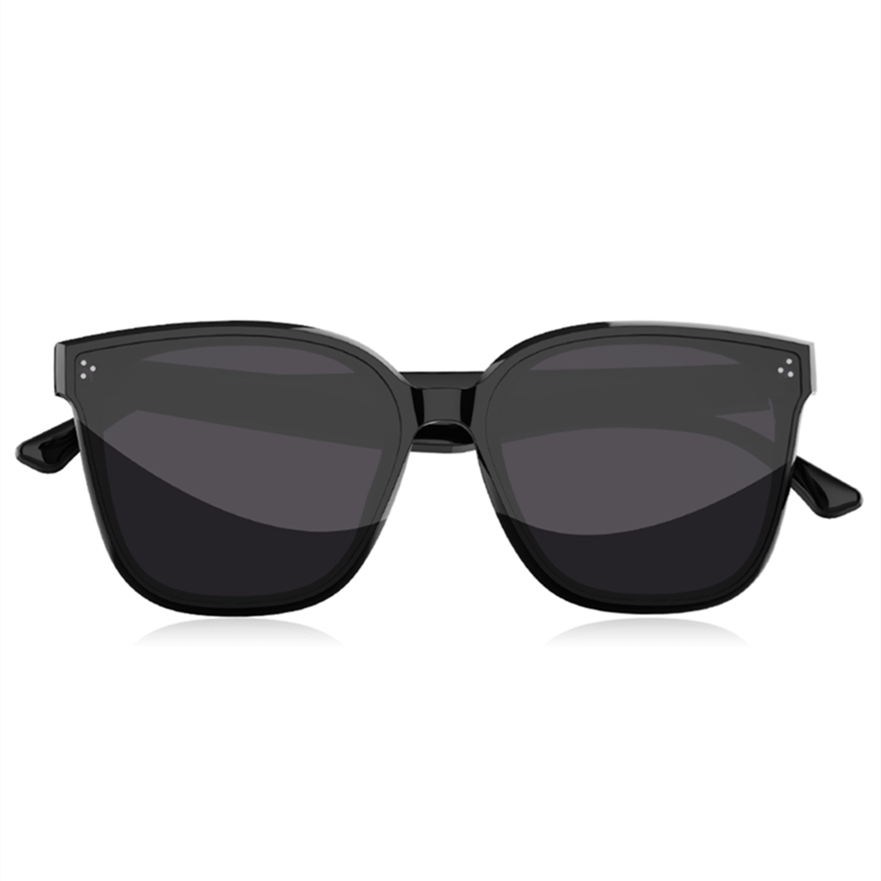 Smart Sunglasses SG1